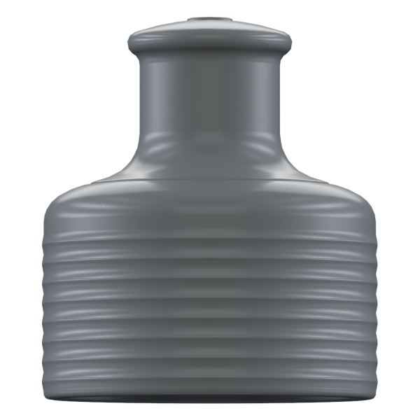 Grey Chilly\'s Sports 260ml / 500ml Accessories | XF1659270